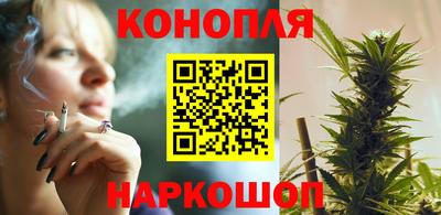 прущие крисы Новозыбков