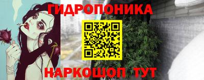 прущие крисы Новозыбков