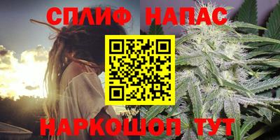 прущие грибы Новокубанск