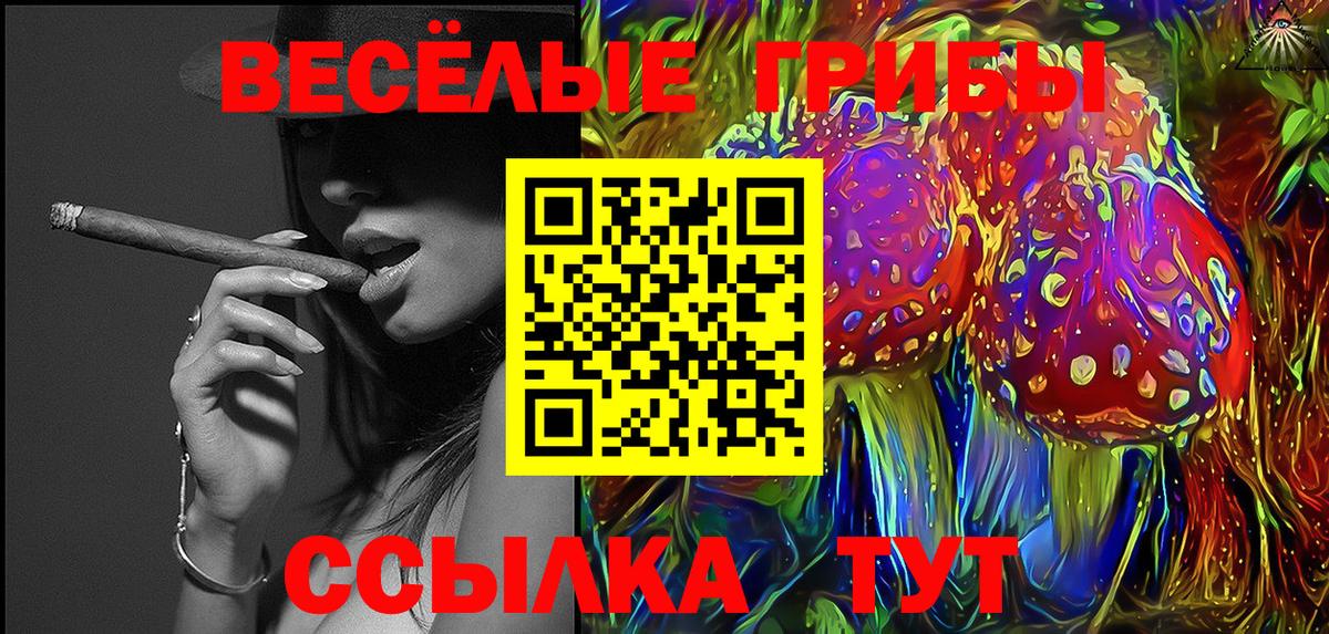 Галлюциногенные грибы мицелий  Вход с VPN  Истра  Галлюциногенные грибы Psilocybe 